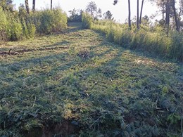 1000148152