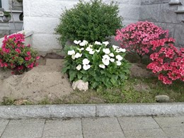 1000288874