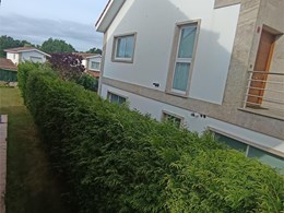 1000289363