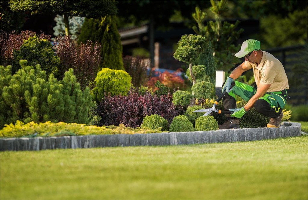 5 tips para mejorar tu jardín con una buena iluminación