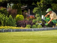 5 tips para mejorar tu jardín con una buena iluminación