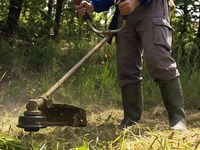 6 señales de que tu terreno necesita un desbroce urgente
