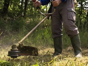 6 señales de que tu terreno necesita un desbroce urgente