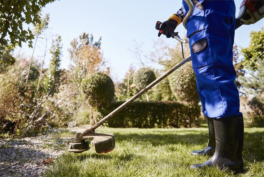 7 consejos imprescindibles para un césped verde y sano todo el verano
