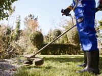 7 consejos imprescindibles para un césped verde y sano todo el verano