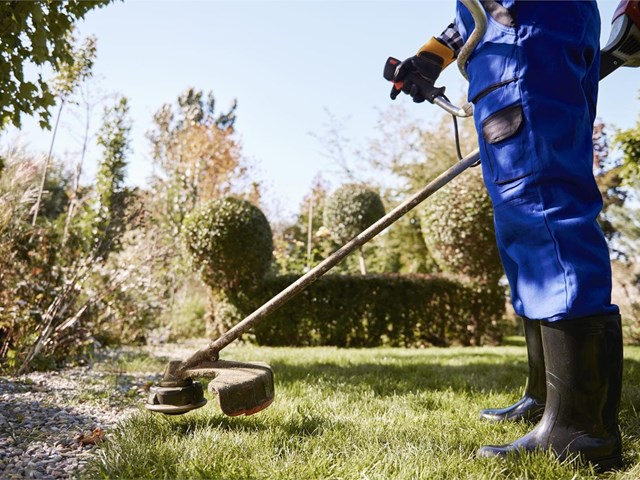7 consejos imprescindibles para un césped verde y sano todo el verano