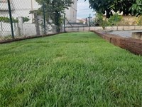 7 tareas de mantenimiento que tu jardín necesita esta primavera