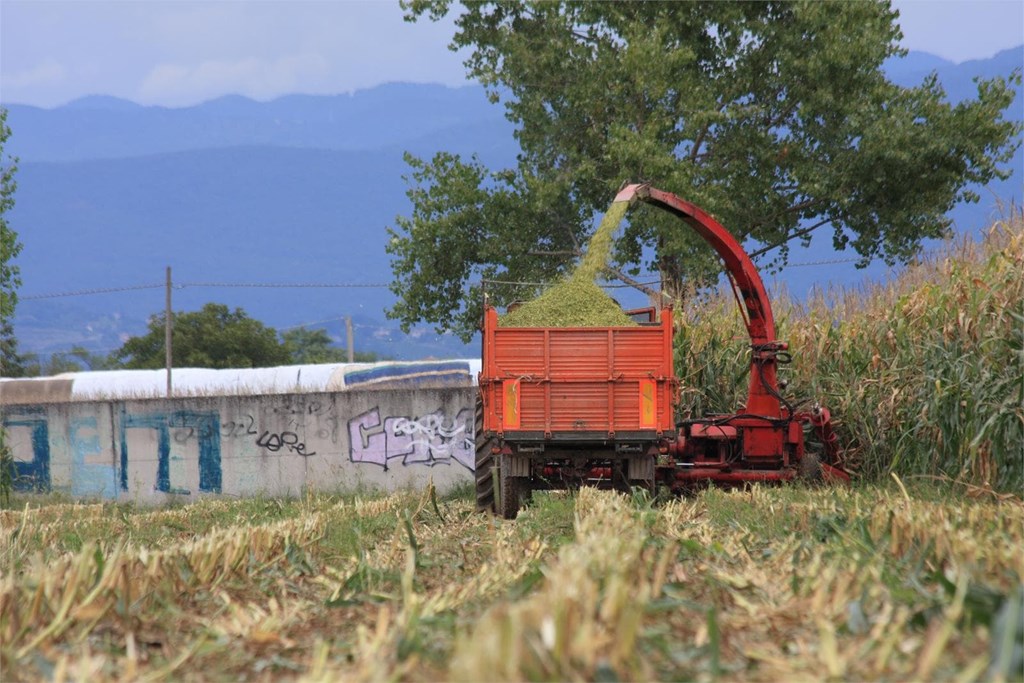 ¿Cuándo es el mejor momento para desbrozar tu finca?  