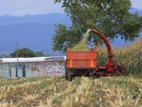 ¿Cuándo es el mejor momento para desbrozar tu finca?  
