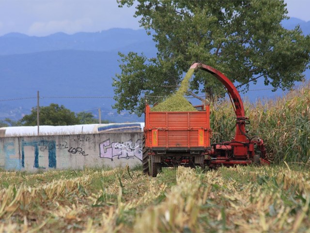 ¿Cuándo es el mejor momento para desbrozar tu finca?  
