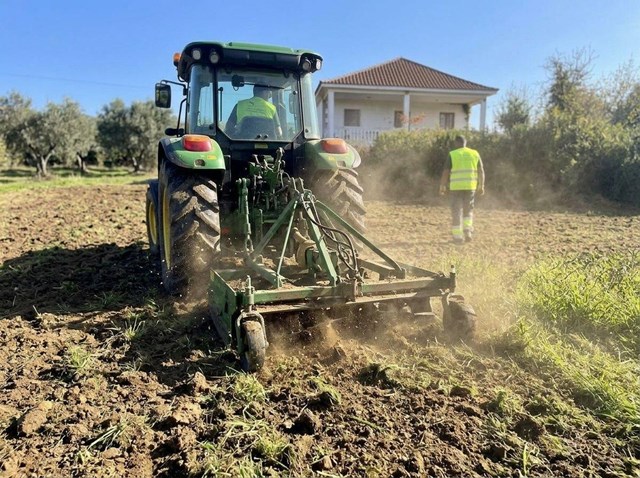 Desbroce de parcelas y fincas en San Cibrao das Viñas - Imagen 1
