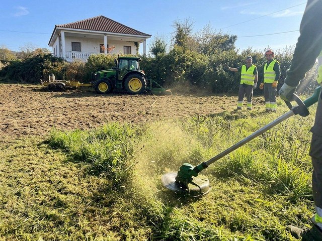 Desbroce de parcelas y fincas en San Cibrao das Viñas