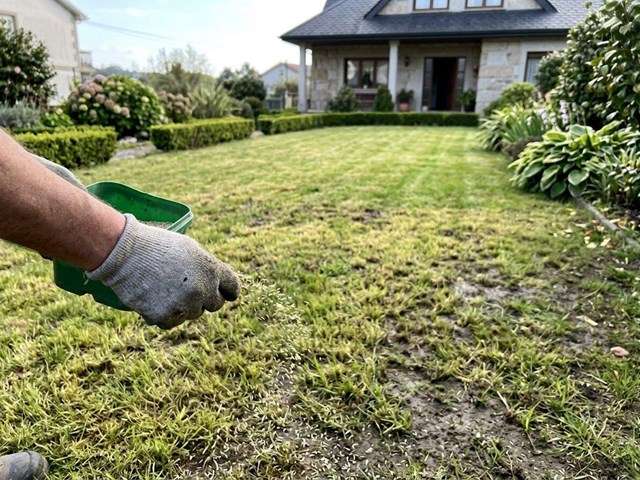 Devuelve el verde a tu jardín con resembrado de césped deteriorado en Ourense