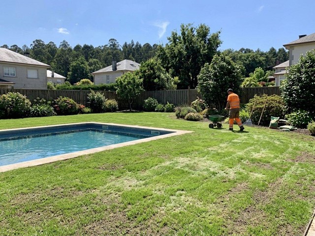 Devuelve la densidad a tu césped junto a la piscina en San Cibrao das Viñas