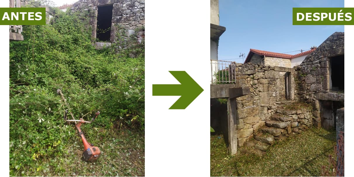 Antes y después, desbroces de fincas en Ourense