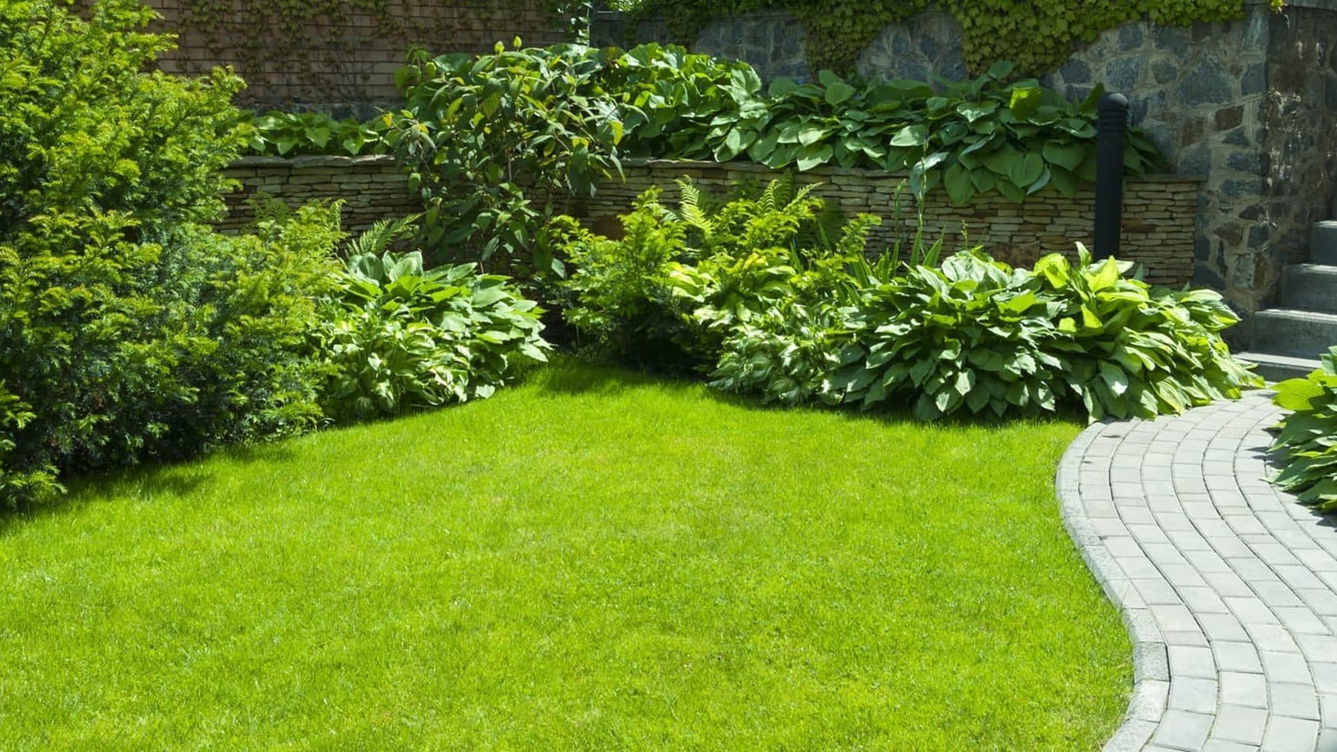 Galería de trabajos de jardinería y desbroces de Otto en Ourense