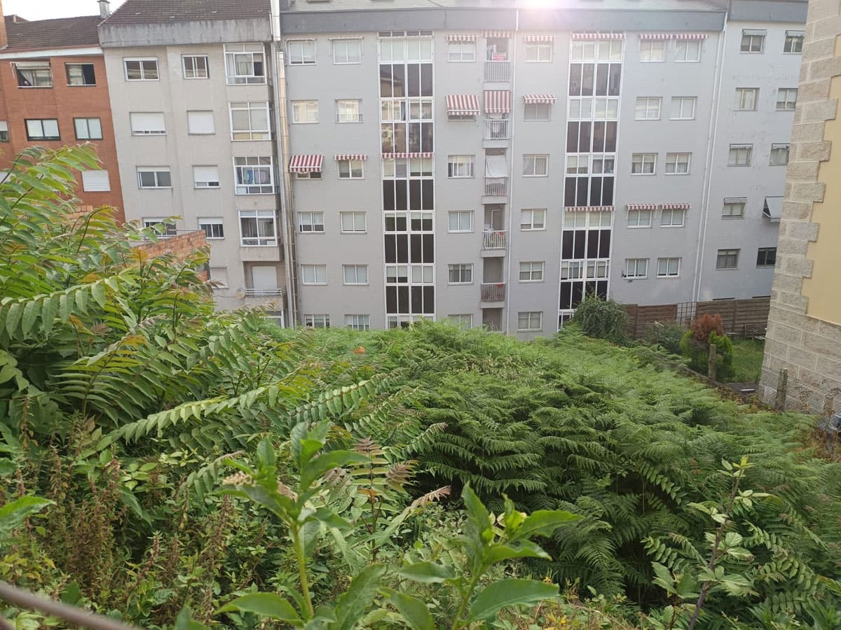 Antes y después, desbroces de fincas en Ourense