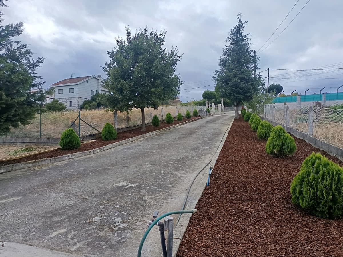 Antes y después, desbroces de fincas en Ourense