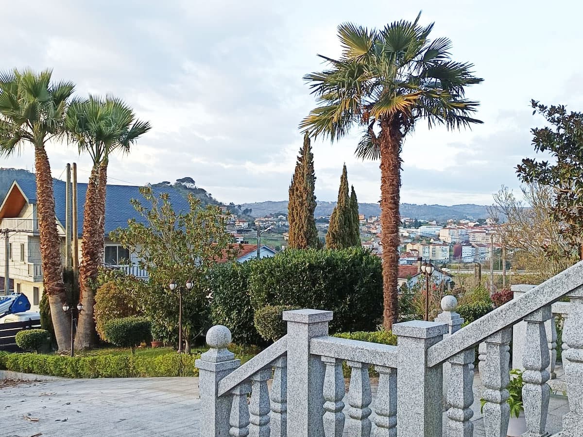 Antes y después, desbroces de fincas en Ourense