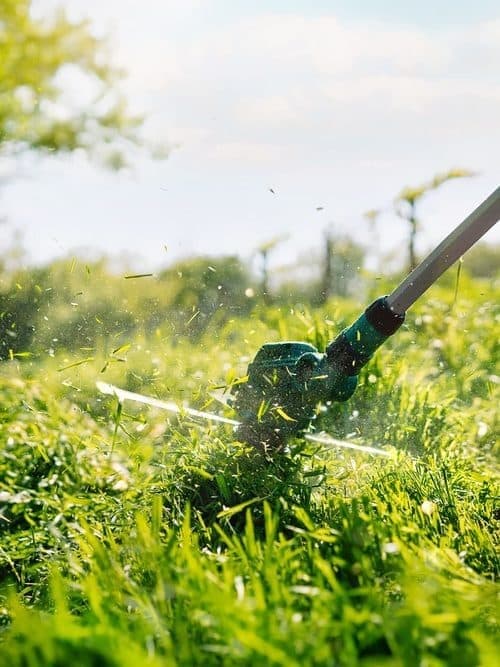 Servicio de desbroces en Ourense de Otto Jardinería y Desbroces