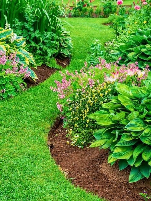 Mantenimiento de jardines en Ourense de Otto Jardinería y Desbroces