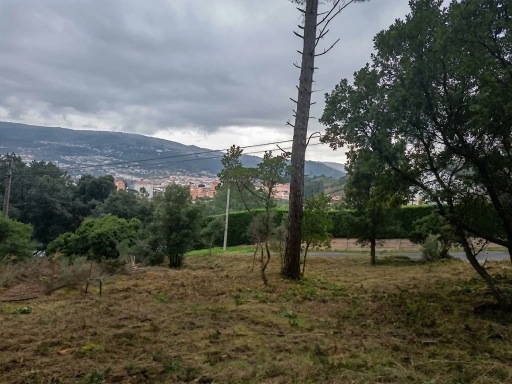 Desbroces en Ourense con la máxima eficacia y el mínimo impacto de Otto Jardinería y Desbroces