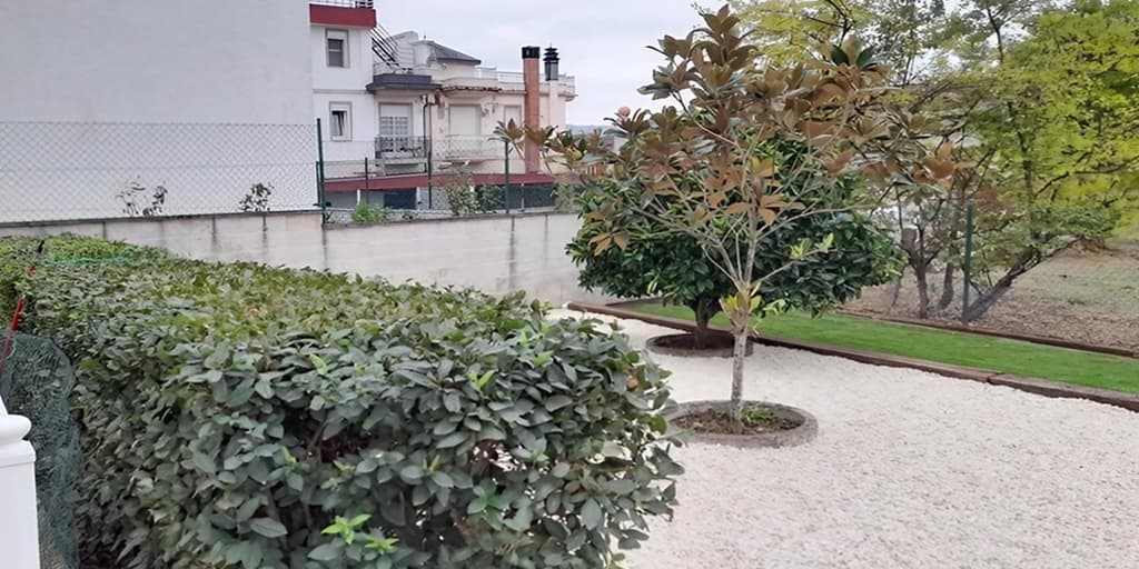 Cuidado y mantenimiento de jardines en Ourense por Otto Jardinería y Desbroces