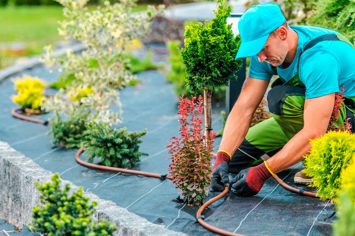 Sistemas de riego para jardín en Ourense