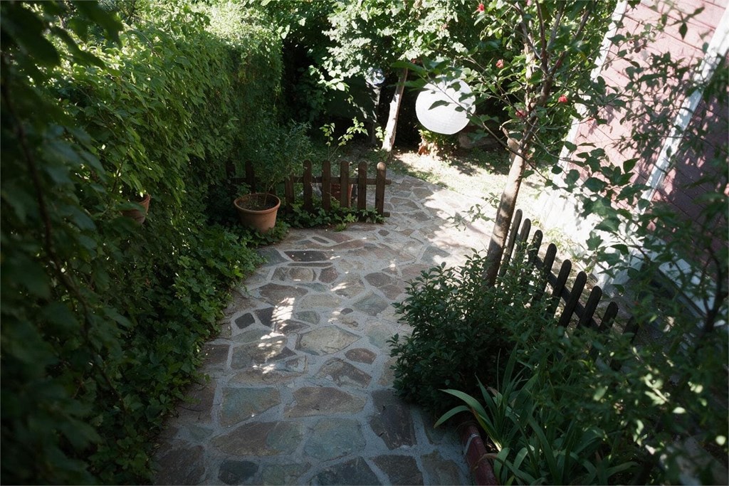 Jardines con poca luz: qué plantas funcionan y cuáles no