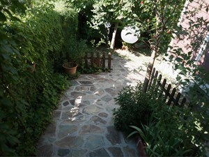 Jardines con poca luz: qué plantas funcionan y cuáles no