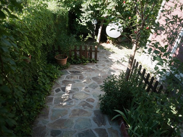 Jardines con poca luz: qué plantas funcionan y cuáles no