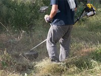 La importancia del desbroce de fincas en verano