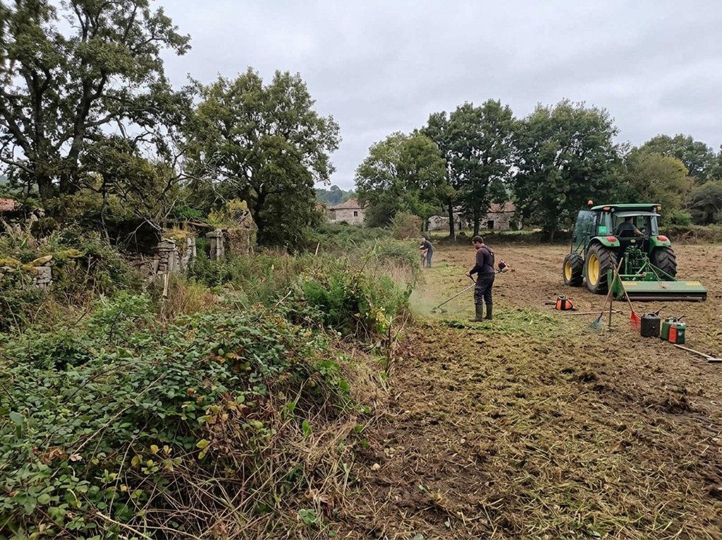 Foto 1 Recupera tu finca abandonada: desbroce y limpieza integral en Allariz