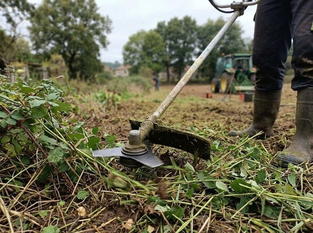 Recupera tu finca abandonada: desbroce y limpieza integral en Allariz - Imagen 1