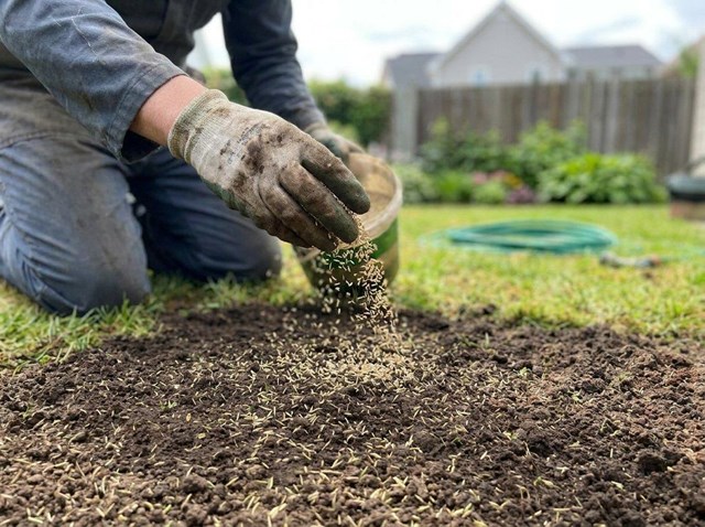 Recupera tu jardín: resembrado de jardines particulares en Allariz - Imagen 1
