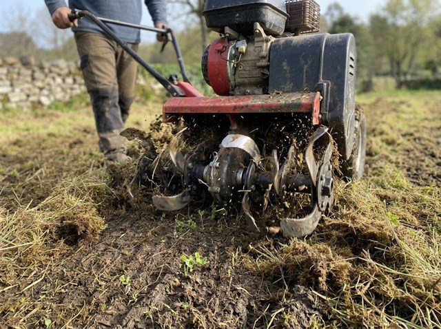 Recupera tu pradera con resembrado de césped rústico en fincas de Esgos - Imagen 1