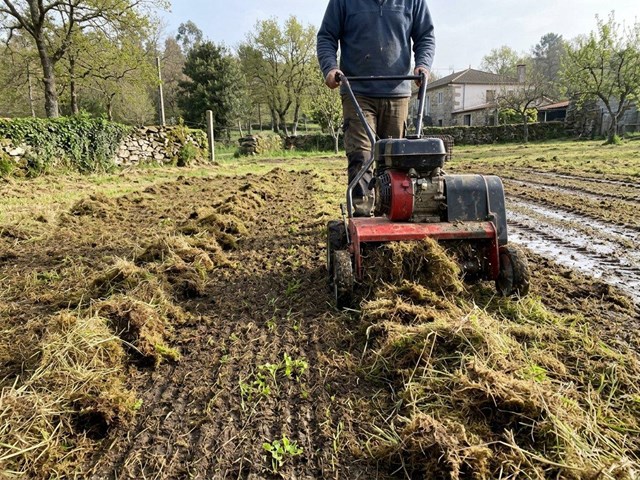 Recupera tu pradera con resembrado de césped rústico en fincas de Esgos
